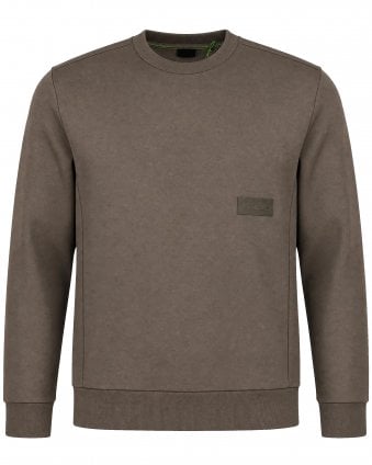 Mens SW_Crewneck Relaxed Fit Sweatshirt - Light Pastel Green (Brown) 