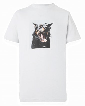 Mens Te_Dobermann Animal Artwork Dog T-Shirt -Light Grey (Sky Blue/Grey)